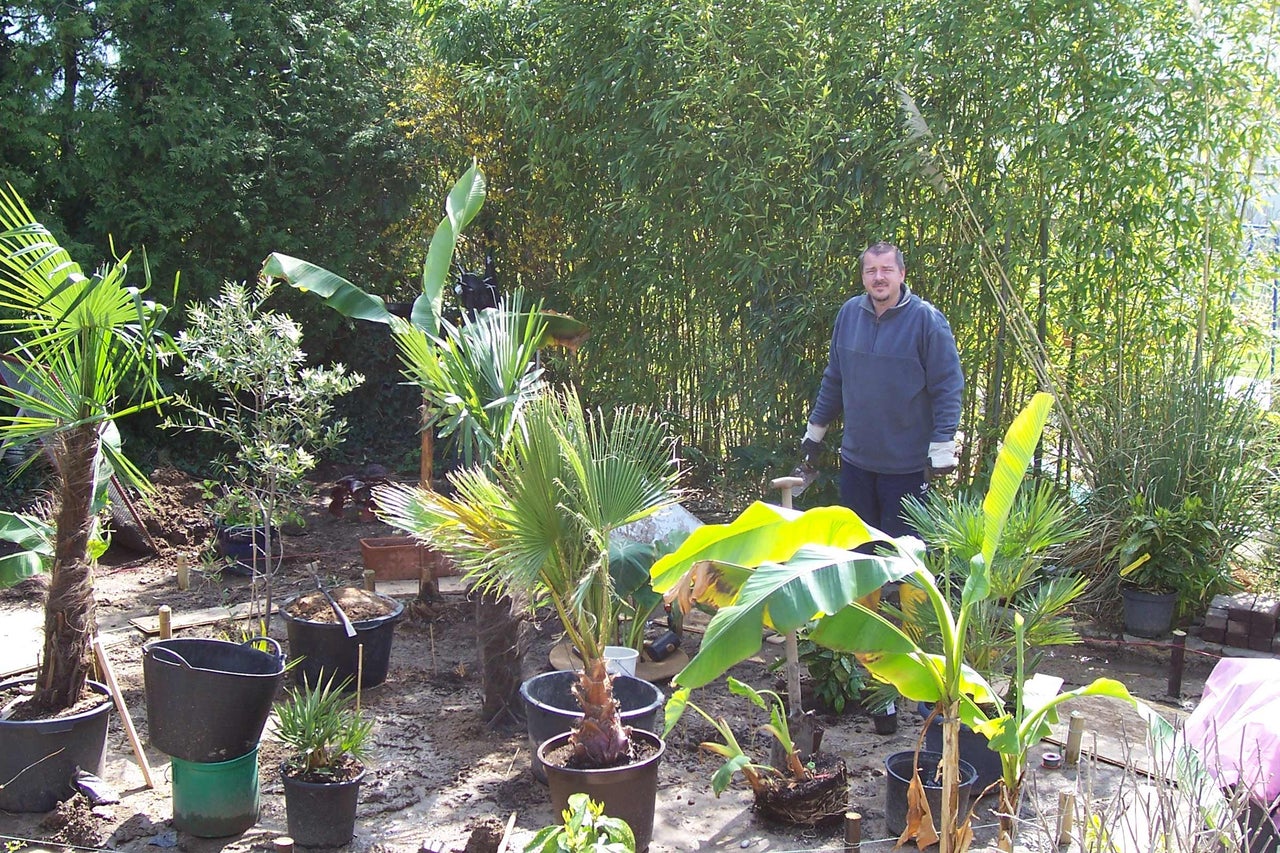 Gartenlandschaft mit Mann, verschiedenen Pflanzen und Gartengeräten.
