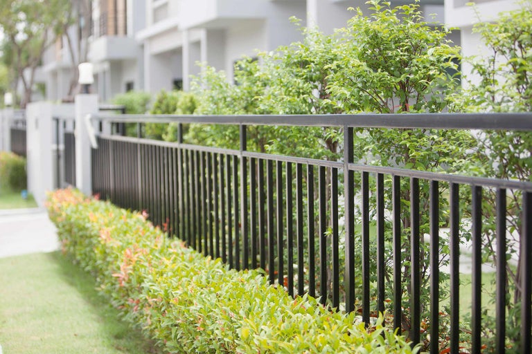 Schwarzer Metallzaun umgibt ein Grundstück mit Büschen und Bäumen.