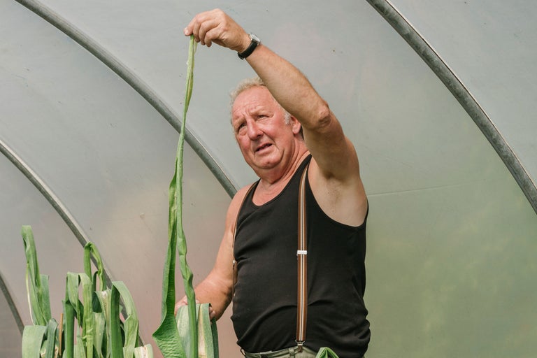 Mann im Gewächshaus hält eine Lauchstange hoch