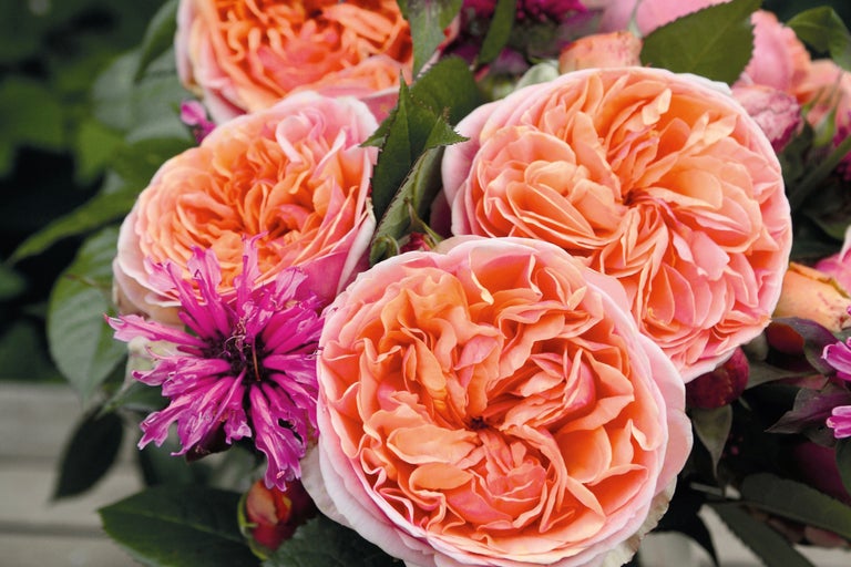 Nahaufnahme eines Straußes mit Rosenblüten