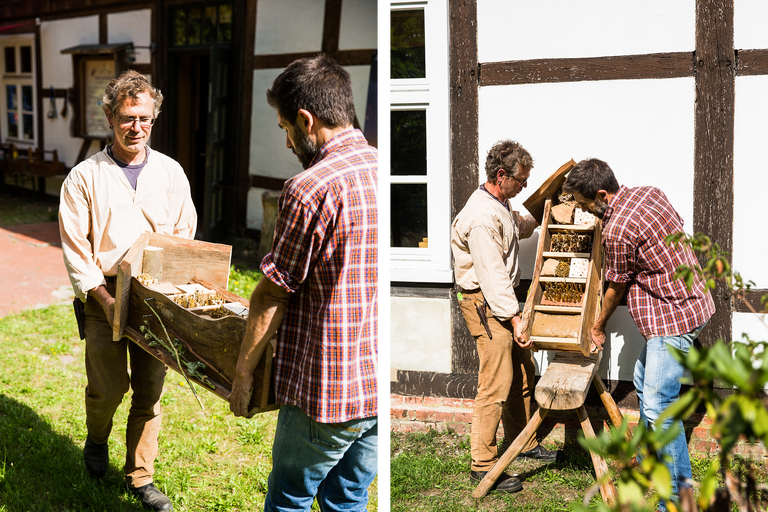 Zwei Männer tragen ein Insektenhotel im Garten