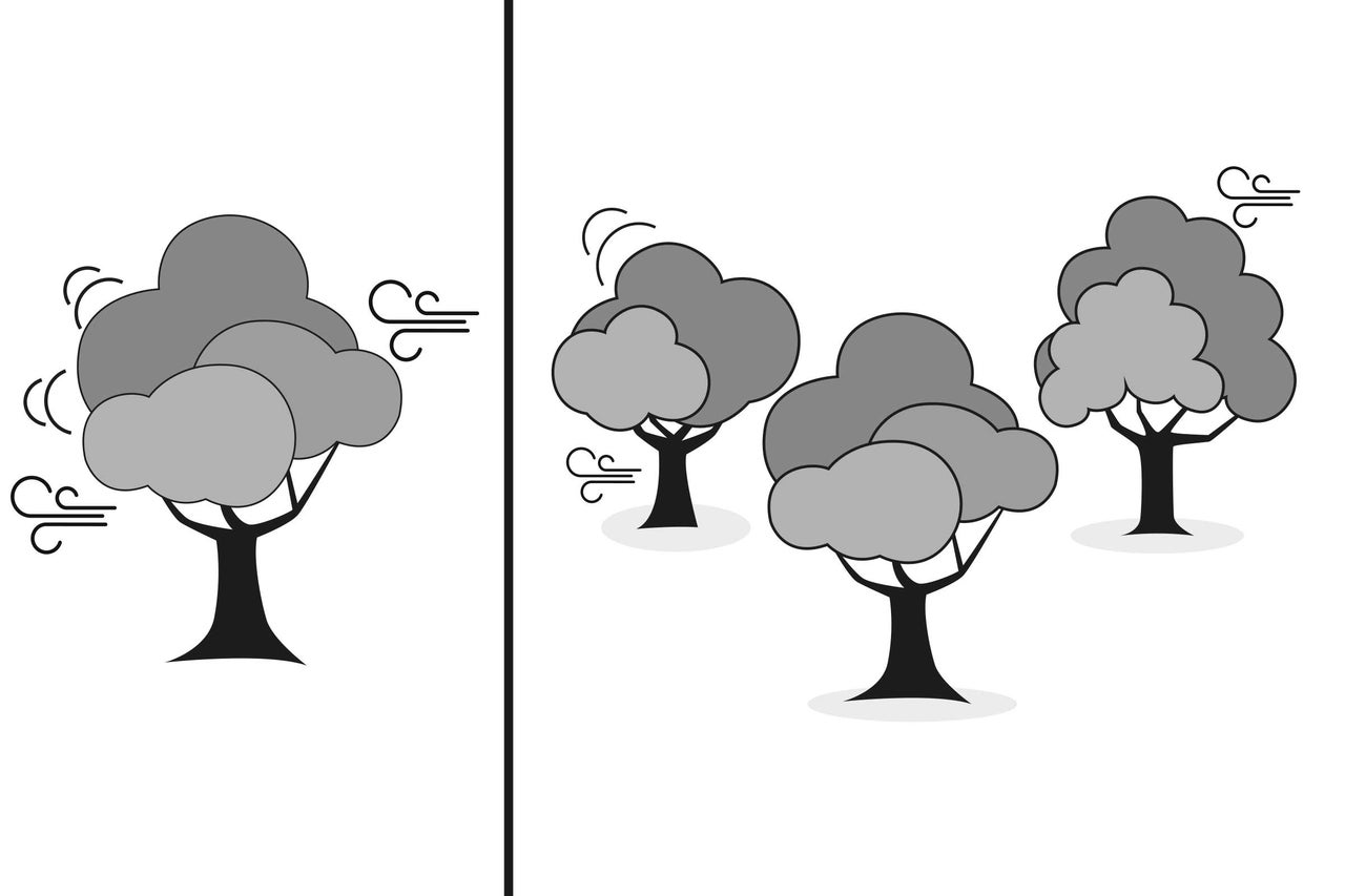 Illustration von Bäumen im Wind