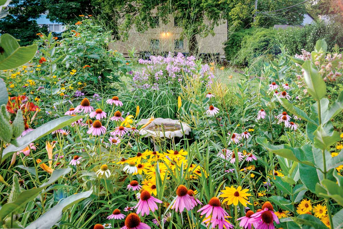 Blühender Garten mit verschiedenen Blumen und einer Vogeltränke