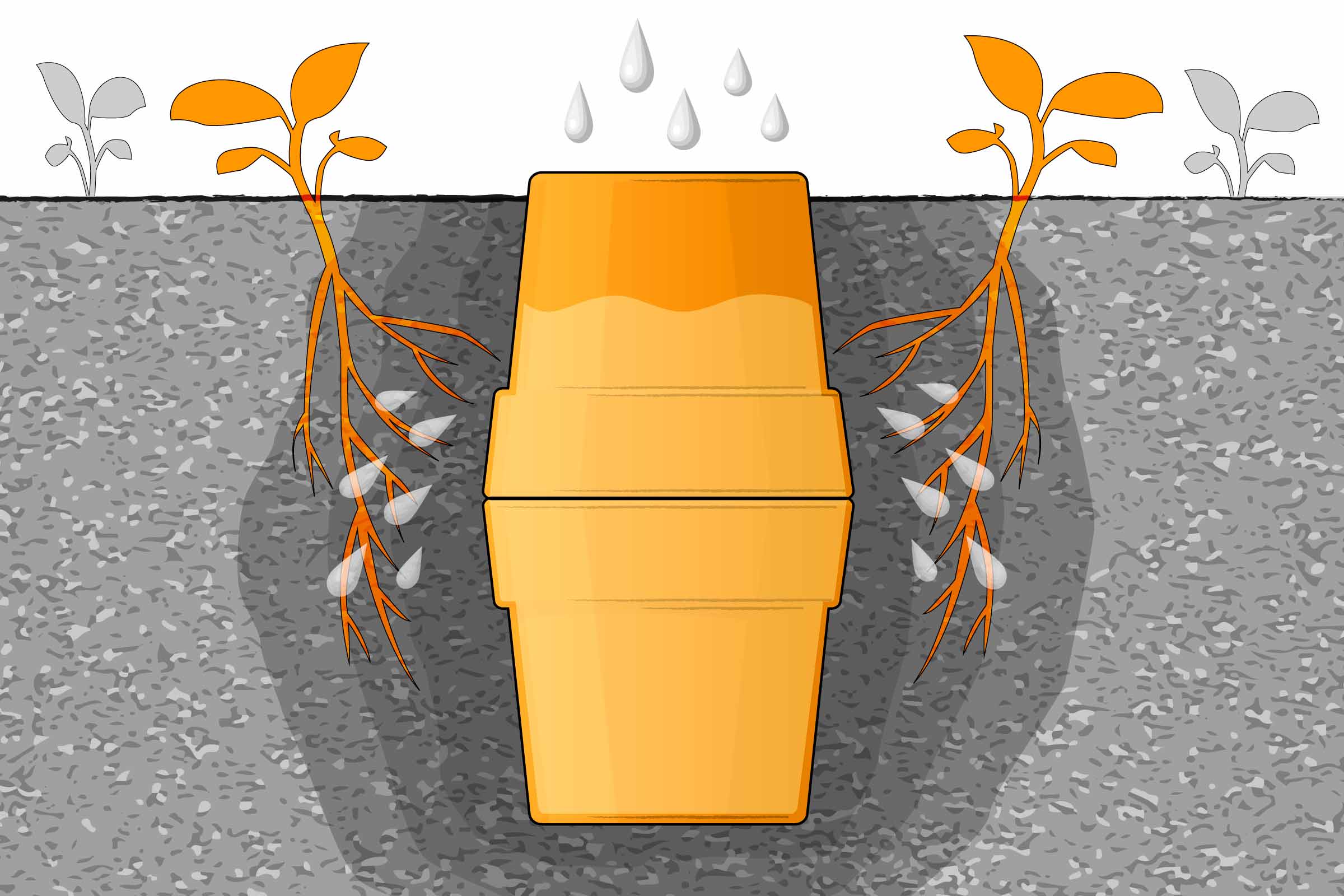 Illustration von Pflanzenbewässerung mit Untersetzer