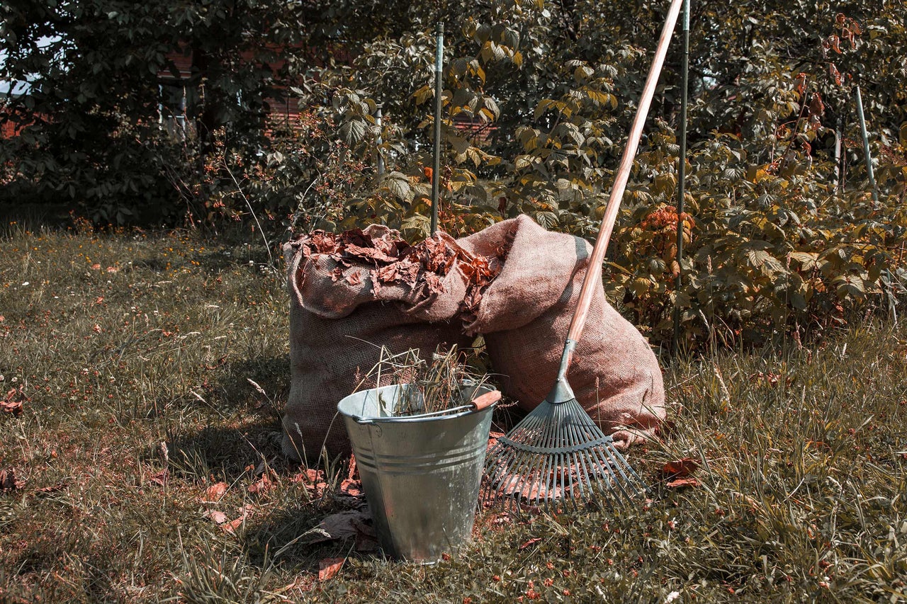 Zwei Säcke gefüllt mit Laub, ein Metalleimer mit Gras und ein Laubbesen im Garten.