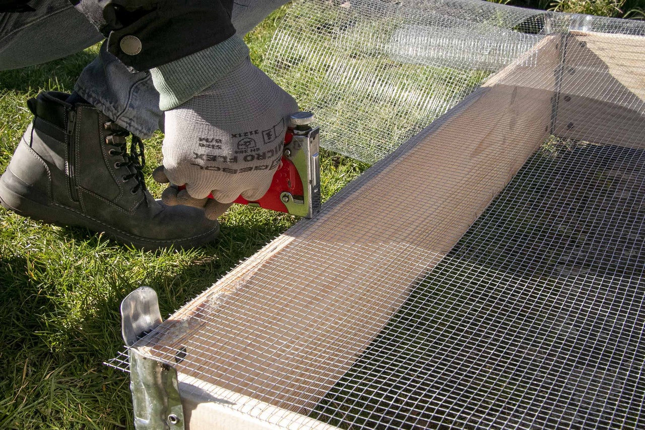 Eine Person befestigt Drahtgeflecht mit einem Tacker an einem Holzrahmen.