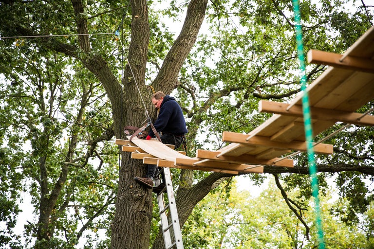 Mann mit Sicherheitsgurt montiert einen Baumwipfelpfad mit einer Leiter.