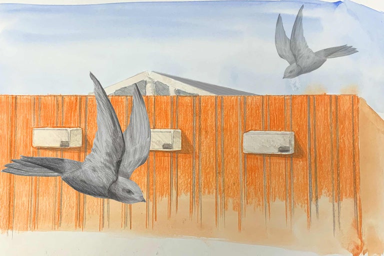 Illustration einer Hauswand mit Vogelhäusern und Mauerseglern im Flug