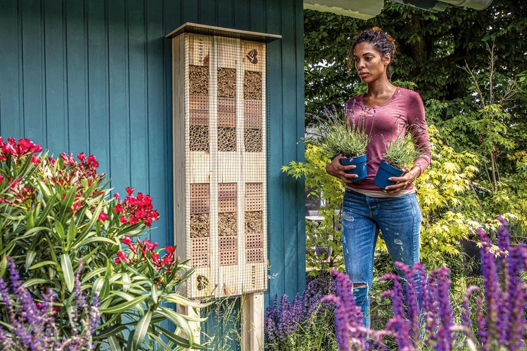 Aufnahme eines Insektenhotels an einer blauen Holzwand mit einer Frau, die zwei Lavendelpflanzen in Töpfen hält.