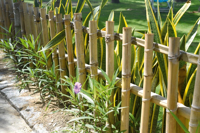 Bambuszaun mit Pflanzen im Garten