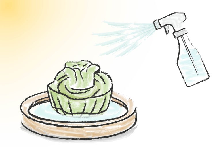 Gezeichnete Illustration einer Pflanze in einer Schale, die mit einer Sprühflasche bewässert wird.