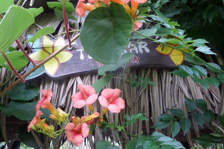 Dekoratives Holzschild mit Blumenmuster und blühenden Kletterpflanzen vor einem Strohhintergrund.