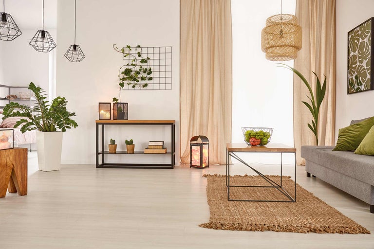 Wohnzimmer mit Sofa, Tisch, Teppich und Pflanzen