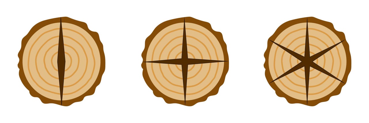Drei Holzscheiben mit unterschiedlichen Schnittmustern