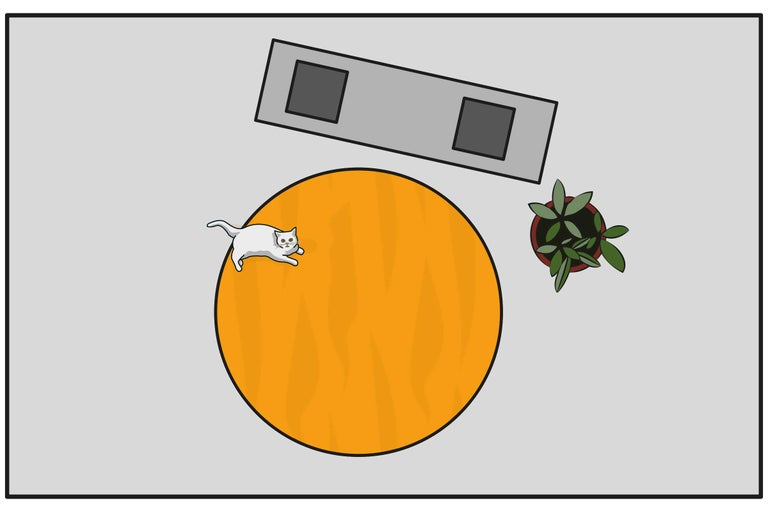 Draufsicht auf einen Tisch mit einer Zimmerpflanze, einem Tablett, einem Teppich und einer Katze