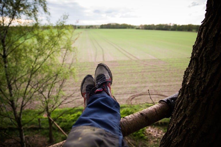 Person sitzt auf Baumhaus mit Blick auf Feld