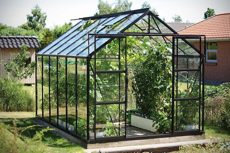 Gewächshaus mit Pflanzen im Garten