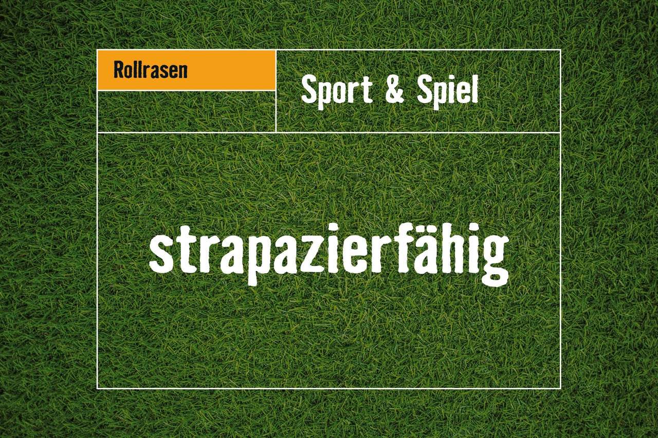 Rollrasen für Sport und Spiel, strapazierfähig