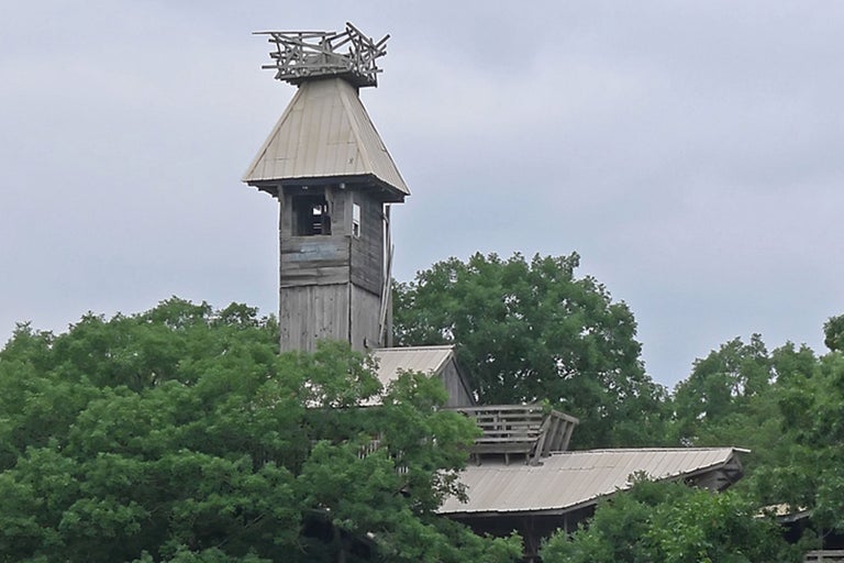 Holzturm inmitten von Bäumen