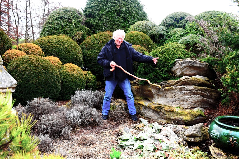 Ein Mann steht mit einem Spazierstock in einem kunstvollen Formschnittgarten mit kugelförmigen Büschen und Steinen.