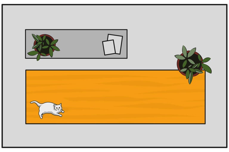 Draufsicht auf ein Zimmer mit Holzboden, Pflanzen, Beistelltisch, Bildern und einer Katze