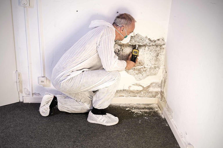 Ein Mann in Schutzkleidung untersucht mit einem Messgerät Schimmel an einer Wand.