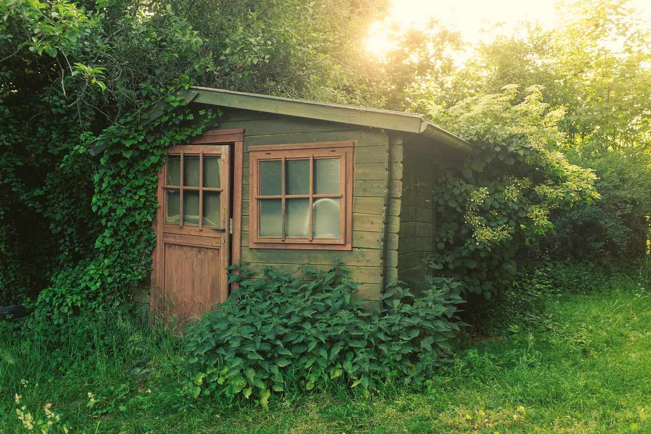 Gartenschuppen mit Fenster und offener Tür, umgeben von Grünpflanzen