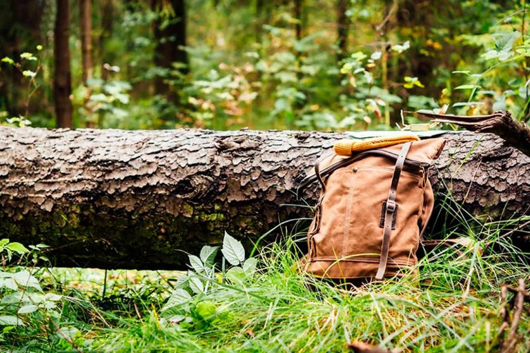 Szene im Wald mit Rucksack, Strickjacke und Baumstamm