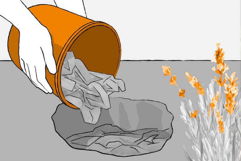 Illustration einer Hand, die Kompost aus einem Eimer in das ausgegrabene Loch leert, mit Lavendel im Vordergrund.