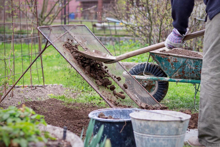 Bodenbearbeitung mit Sieb, Schaufel und Schubkarre im Garten