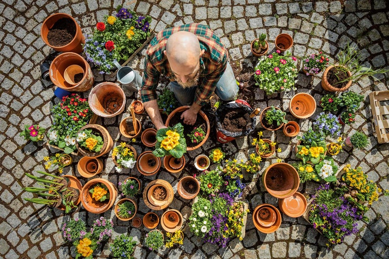 Mann bepflanzt Blumen in Blumentöpfe im Freien, umgeben von Erde, Gießkanne und Gartenwerkzeug.