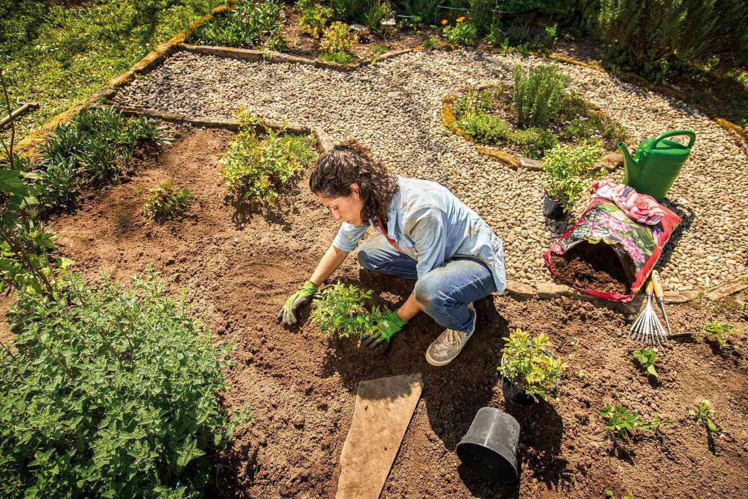 Frau pflanzt Setzlinge in einem Garten mit Kieswegen und verschiedenen Pflanzen.