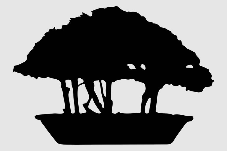 Silhouette eines Bonsai Baumes in einer Schale