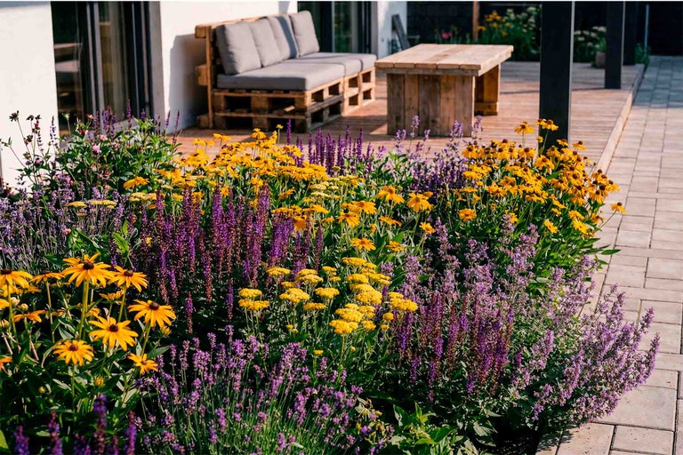Ein sonniger Garten mit einem üppigen Blumenbeet aus gelben und lila Stauden vor einer Holzterrasse mit Palettensofa und Holztisch.