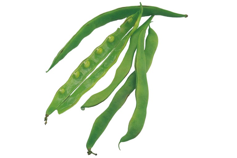 Mehrere grüne Gartenbohnen, einige geöffnet, um die Samen zu zeigen