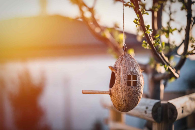 Vogelhaus aus Kokosnussschale mit Sitzstange hängt an einem Baum