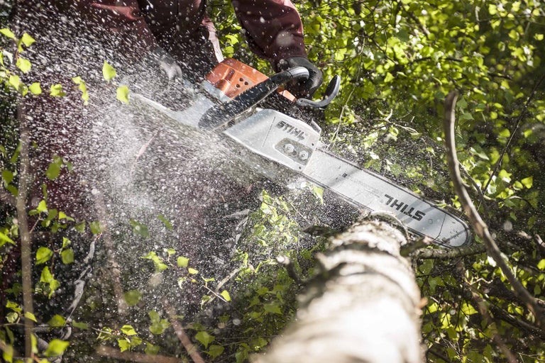 Eine Stihl Kettensäge schneidet einen Ast ab, Sägespäne fliegen.