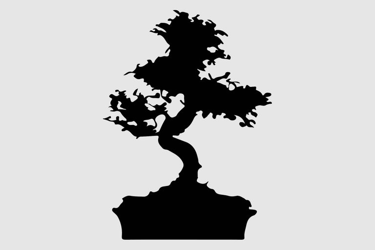 Silhouette eines Bonsai Baums in einem Topf