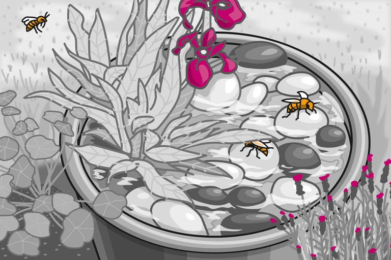 Illustration einer Pflanzschale mit Pflanzen, Steinen und Bienen