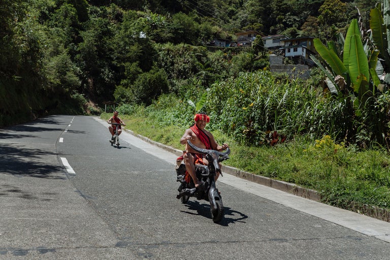Zwei Männer fahren auf einem Motorroller und einem geschnitzten Büffelroller auf einer Straße in einer grünen Landschaft.