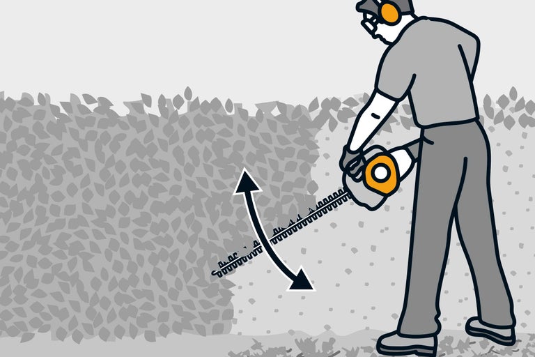 Illustration einer Person, die mit einer Heckenschere eine Hecke schneidet, mit einem Pfeil, der die Bewegung der Heckenschere zeigt