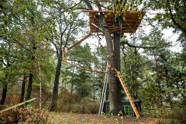 Baumhaus mit Leitern und Brücken in einem Garten.