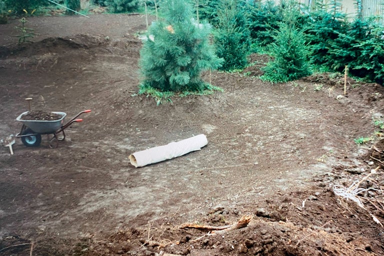 Gartenszene mit Erdarbeiten, Schubkarre und jungen Nadelbäumen