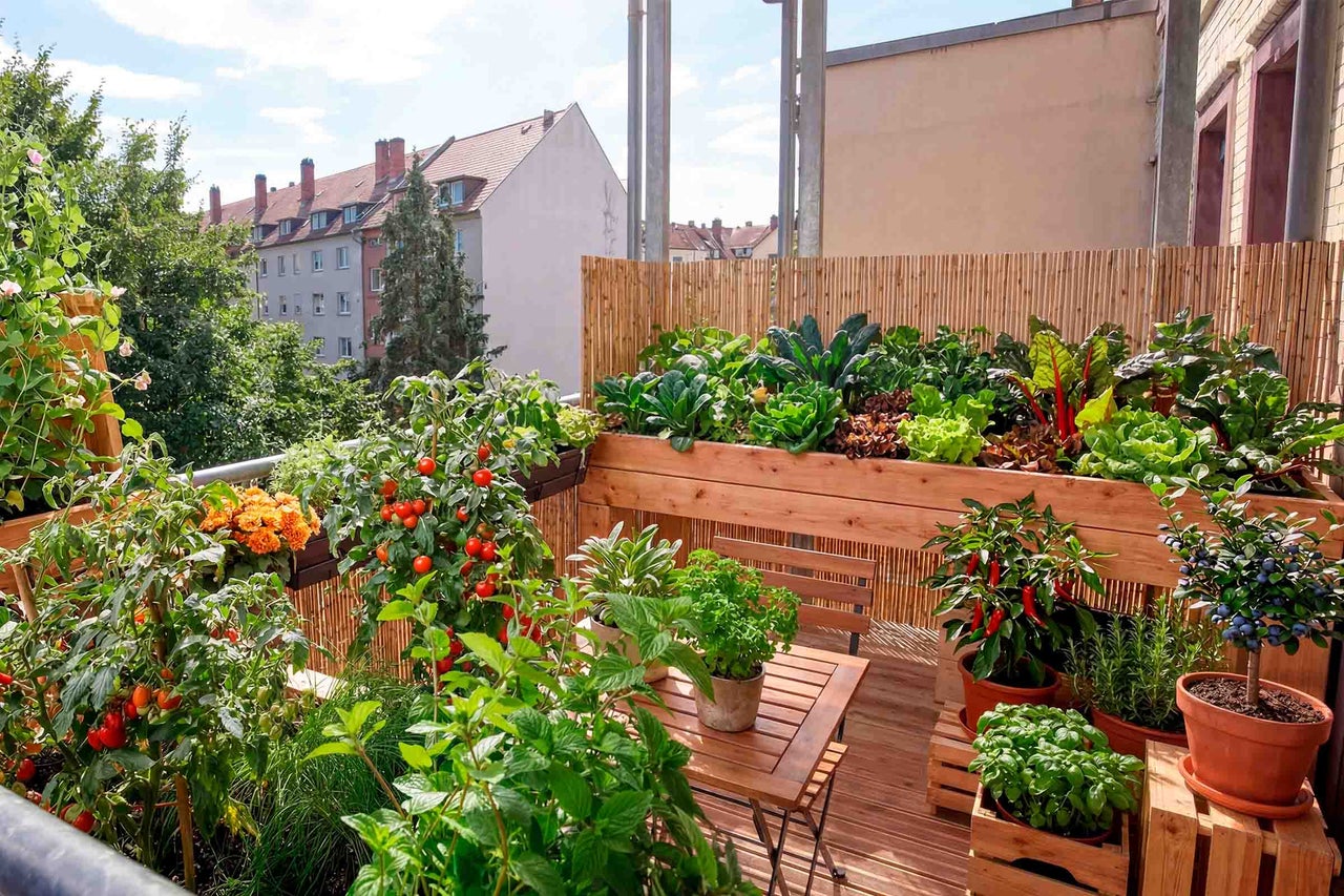 Ein organisierter, heller Balkongarten mit hölzernem Hochbeet, Tomatenpflanzen, Kräutern und Beeren in Töpfen sowie Tisch und Stuhl aus Holz.