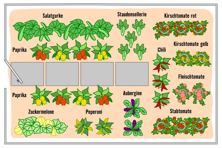 Illustration eines Gemüsebeets mit Salatgurken, Paprika, Staudensellerie, Kirschtomaten, Chili, Fleischtomaten, Stabtomaten, Zuckermelone, Peperoni und Aubergine.