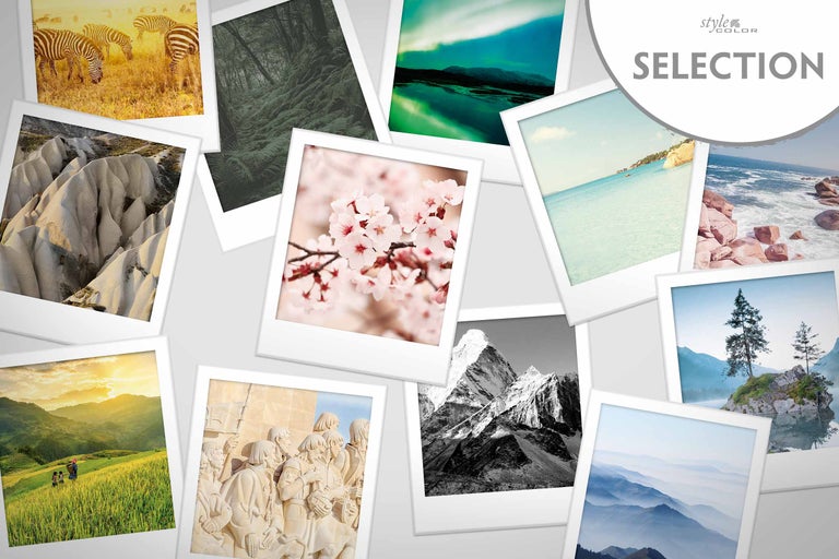 Collage aus Reisefotografien mit Landschaften und Tieren