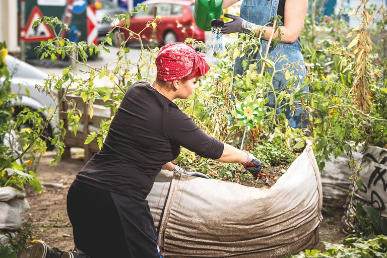 Zwei Personen gießen und bepflanzen ein Hochbeet im Garten.