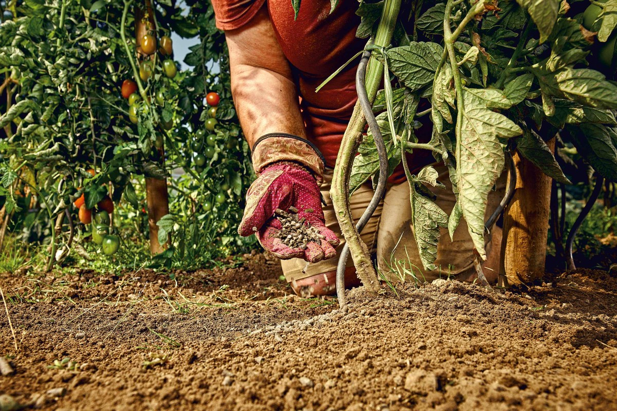 Bodenverbesserung im Garten HORNBACH