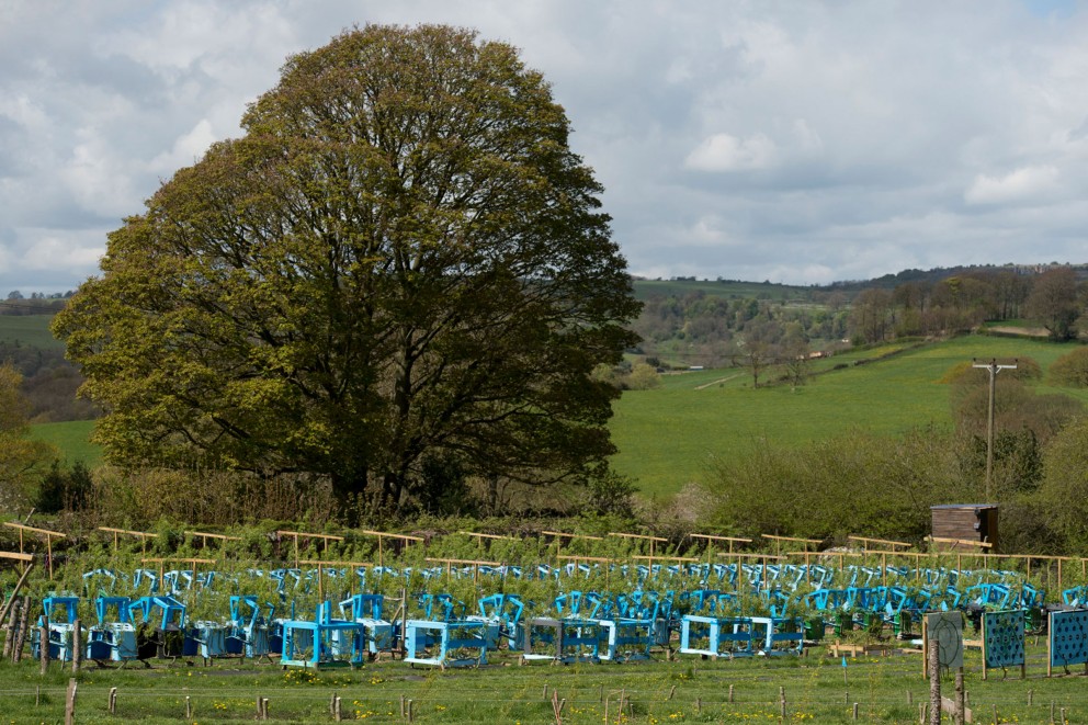 
				Der Künstler und Möbeldesigner Gavin Munro betreibt in Derby in der Grafschaft Derbyshire eine Möbelfarm, auf der er Möbel aus Bäumen wachsen lässt

			