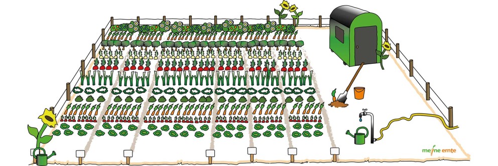 meine ernete flaechengrafik meine ernete flaechengrafik